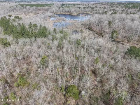 Clyde Evans Rd, Newton, MS 39345 photo 16