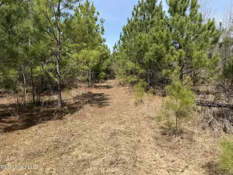 Clyde Evans Rd, Newton, MS 39345
