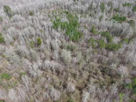 Clyde Evans Rd, Newton, MS 39345 photo 15