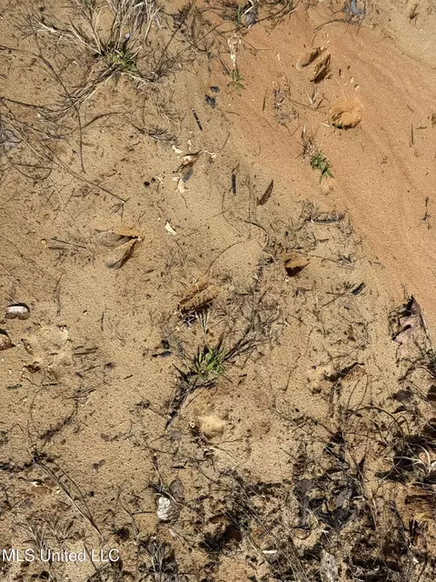 Clyde Evans Rd, Newton, MS 39345 photo 13