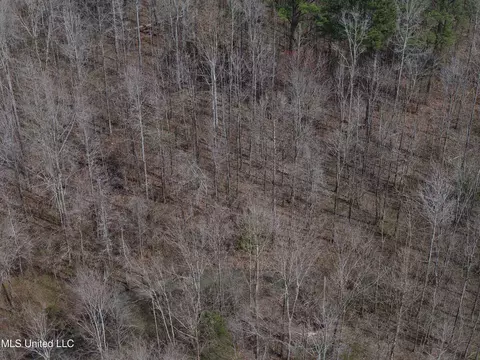 Clyde Evans Rd, Newton, MS 39345 photo 21
