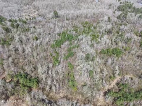 Clyde Evans Rd, Newton, MS 39345 photo 24