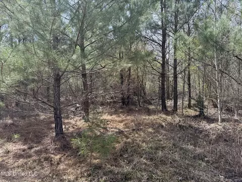 Clyde Evans Rd, Newton, MS 39345 photo 5