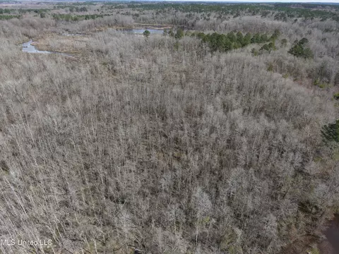 Clyde Evans Rd, Newton, MS 39345 photo 26