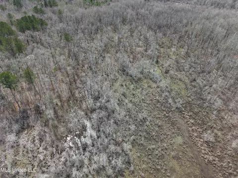 Clyde Evans Rd, Newton, MS 39345 photo 22