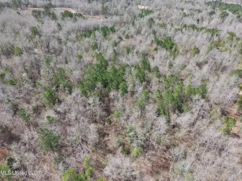 Clyde Evans Rd, Newton, MS 39345 photo 17