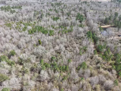 Clyde Evans Rd, Newton, MS 39345 photo 19