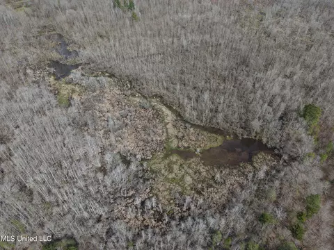 Clyde Evans Rd, Newton, MS 39345 photo 14
