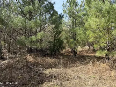 Clyde Evans Rd, Newton, MS 39345 photo 2