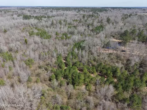 Clyde Evans Rd, Newton, MS 39345 photo 25