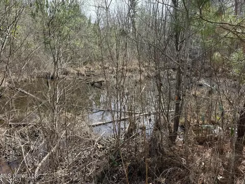 Clyde Evans Rd, Newton, MS 39345 photo 9