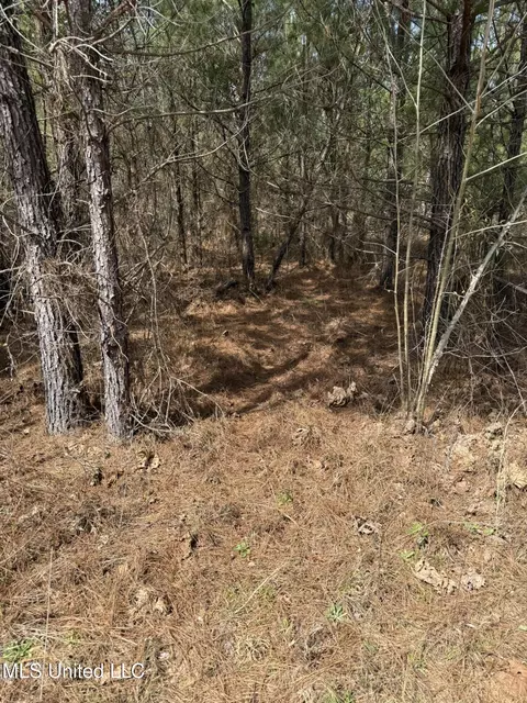 Clyde Evans Rd, Newton, MS 39345 photo 4