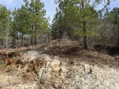 Clyde Evans Rd, Newton, MS 39345 photo 8