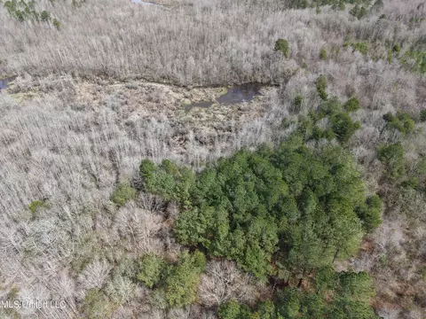 Clyde Evans Rd, Newton, MS 39345 photo 20