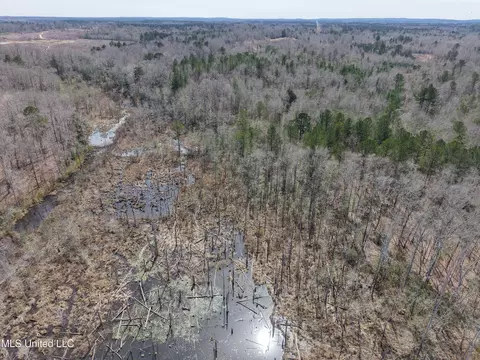 Clyde Evans Rd, Newton, MS 39345 photo 28