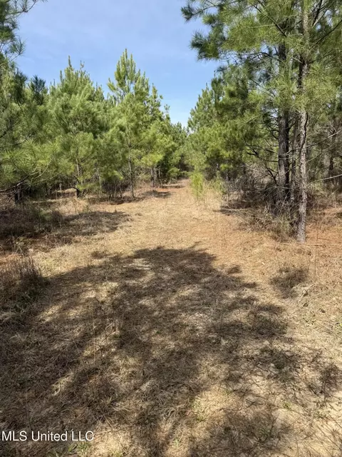 Clyde Evans Rd, Newton, MS 39345 photo 3
