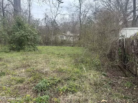 1110 Barbara Ann Dr, Jackson, MS 39204 photo 19