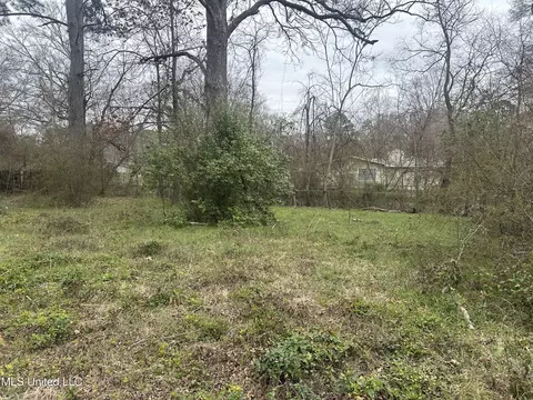 1110 Barbara Ann Dr, Jackson, MS 39204 photo 17