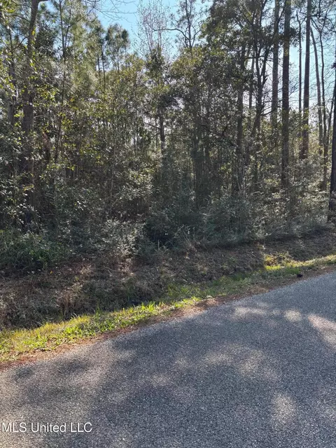 Audubon Lane, Pass Christian, MS 39571