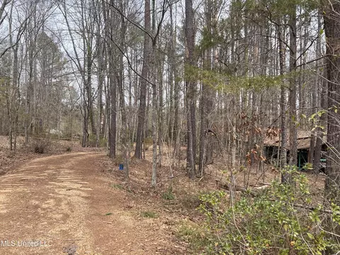 110 Deer Haven Dr, Madison, MS 39110 photo 8