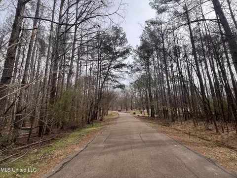 110 Deer Haven Dr, Madison, MS 39110 photo 11