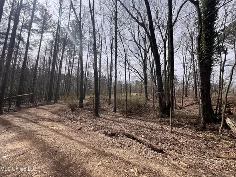 110 Deer Haven Dr, Madison, MS 39110 photo 4