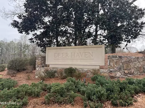 110 Deer Haven Dr, Madison, MS 39110