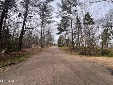 110 Deer Haven Dr, Madison, MS 39110 photo 12