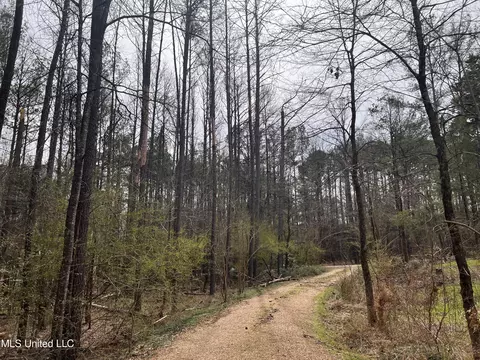 110 Deer Haven Dr, Madison, MS 39110 photo 7