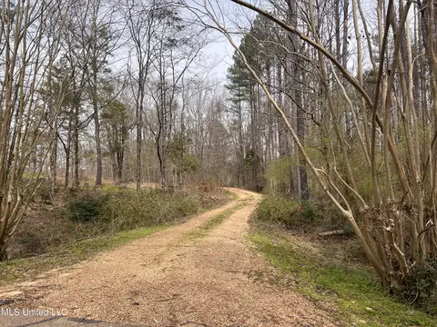 110 Deer Haven Dr, Madison, MS 39110 photo 9