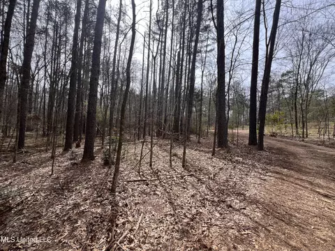 110 Deer Haven Dr, Madison, MS 39110 photo 5