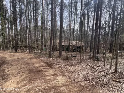 110 Deer Haven Dr, Madison, MS 39110 photo 6