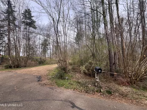 110 Deer Haven Dr, Madison, MS 39110 photo 10