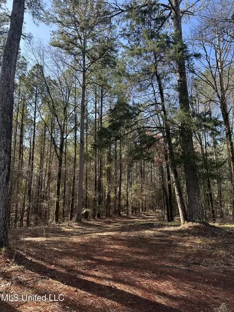 344 Hines Rd, Camden, MS 39045