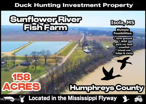 526 Cole Lake Rd, Isola, MS 38754