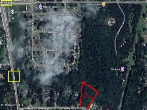 154 Chantilly Dr, Madison, MS 39110 photo 3