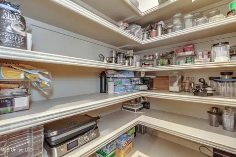 Other - 202 Cedar Woods Cir, Madison, MS 39110 photo 5 of 15