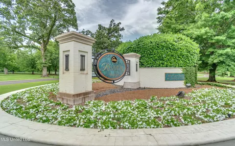 View/Area - 202 Cedar Woods Cir, Madison, MS 39110 photo 6 of 6
