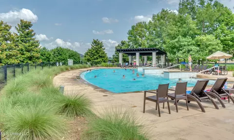 Exterior - 202 Cedar Woods Cir, Madison, MS 39110 photo 18 of 19