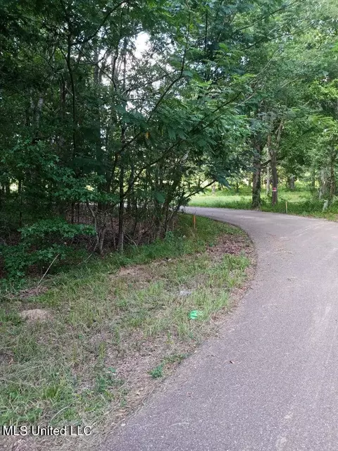0 Coker Ln, Jackson, MS 39213 photo 6