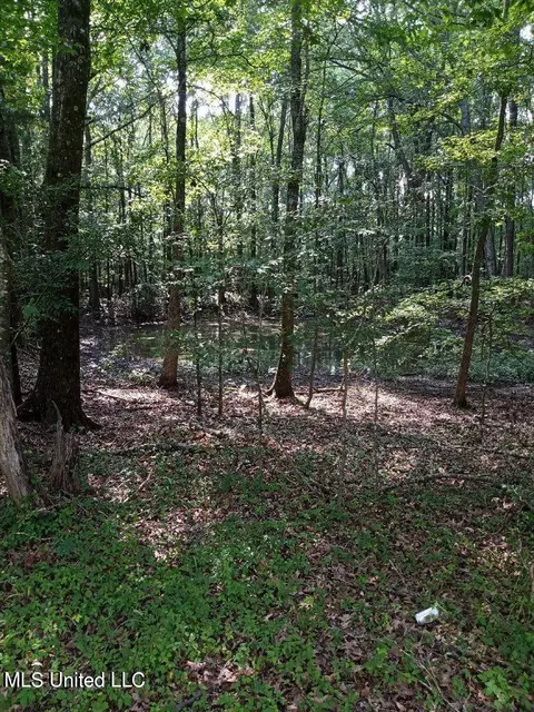 0 Coker Ln, Jackson, MS 39213 photo 5