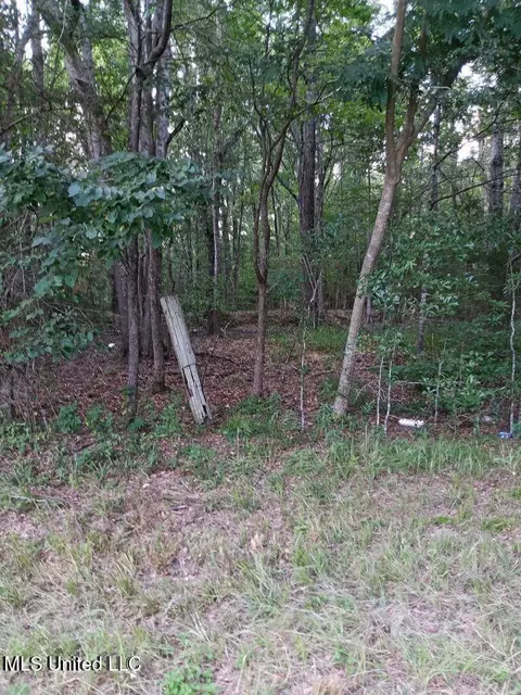 0 Coker Ln, Jackson, MS 39213 photo 7