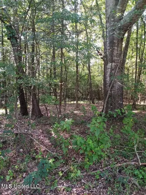 0 Coker Ln, Jackson, MS 39213 photo 9
