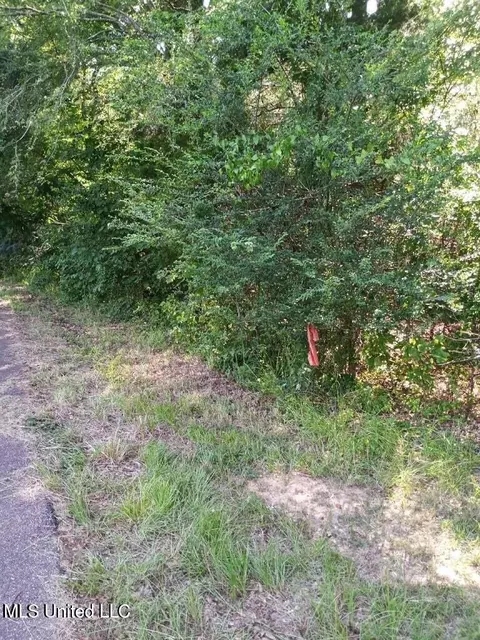 0 Coker Ln, Jackson, MS 39213 photo 8