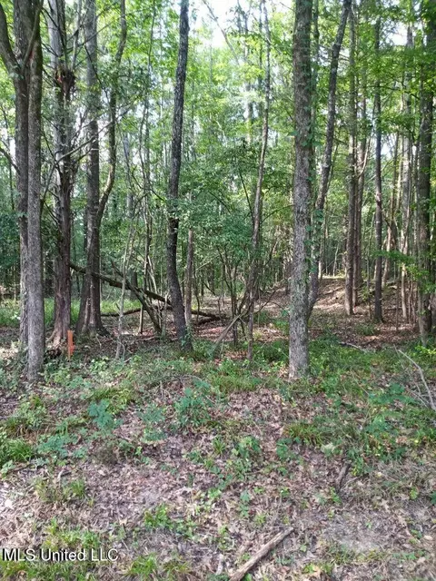 0 Coker Ln, Jackson, MS 39213 photo 3