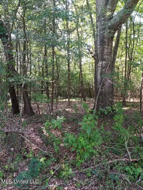 0 Coker Ln, Jackson, MS 39213 photo 11