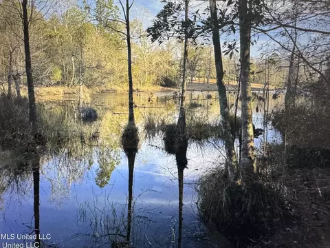 lot14 Hickory Lakes Ests, Lucedale, MS 39452