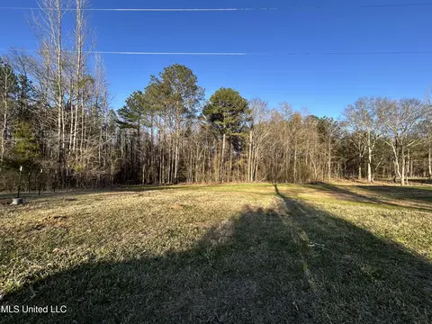 227 Pickering Rd, Florence, MS 39073 photo 5
