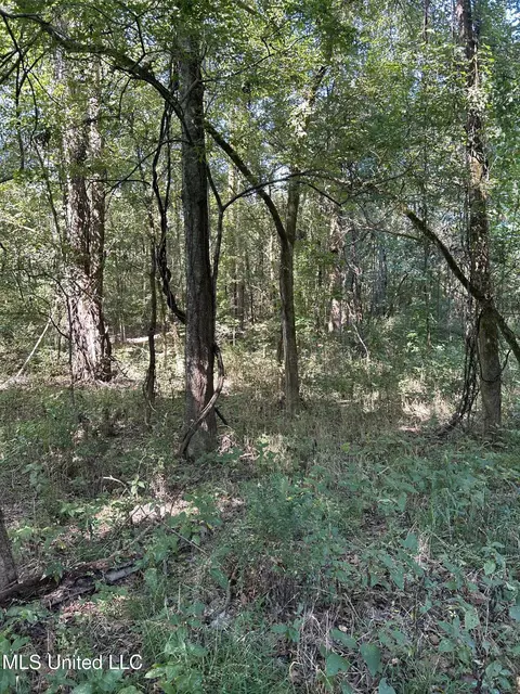 Ms Highway 12, Tchula, MS 39169 photo 51