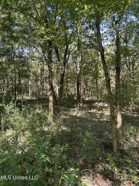 Ms Highway 12, Tchula, MS 39169 photo 53